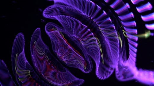 Free video - Light, Glow, Color, Background, Ray