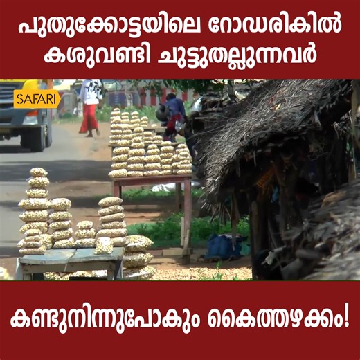 Sancharam Chettinad | Safari TV | Santhosh George Kulangara Watch the Full Episode:https://www.youtube.com/@SafariTVLive/videos #safari_Tv #safaritv #Santhosh_George_Kulangara #Sancharam #Travelogue_based_Channel #Sancharam #Chettinad | Safari TV