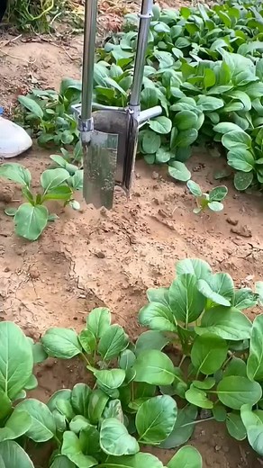 Efficient Manual Auger Use in Home Gardening
