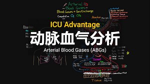 ICU Advantage【中英⚡动脉血气分析|Arterial Blood Gases (ABGs)】
