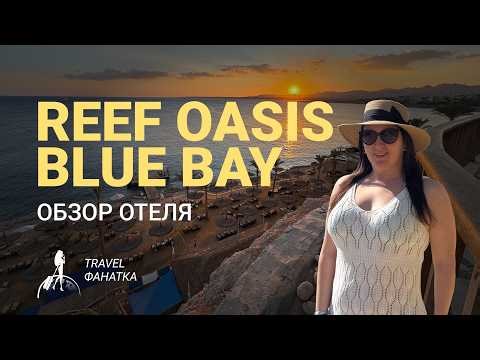 Обзор отеля Reef oasis blue bay