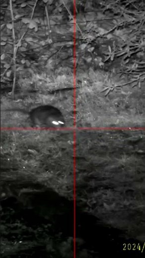 Pard Night Stalker 4K-50 LRF Night Vision Scope #nightvision #pard #optics