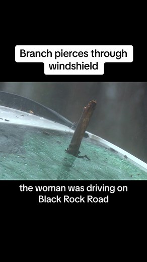Tree Branch Pierces Through Windshield in Coventry Storm