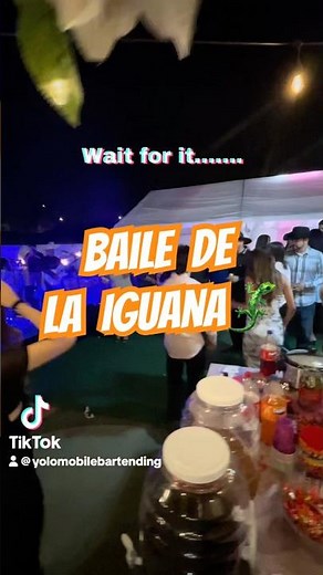 Baile de la Iguana🦎 #traditionaldance #bailetradicional #laiguana #guerrero