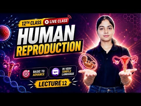 🌸 Human Reproduction Class 12 | Oogenesis (Formation of Ovum) | Biology Lecture 12