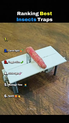 Ranking Best Insects Traps #shorts #shortsfeed
