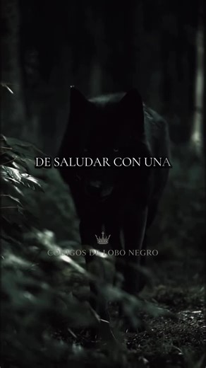 Videos de bikerwerewolf (@bikerwerewolf) con “sonido original - bikerwerewolf”