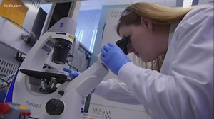 What is herd immunity and does it work?