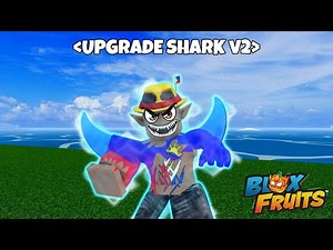 Fast Method To Get Shark Race V2 in Blox Fruits 2026 Guide! Roblox