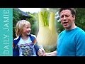 How to use fennel video | Jamie Oliver
