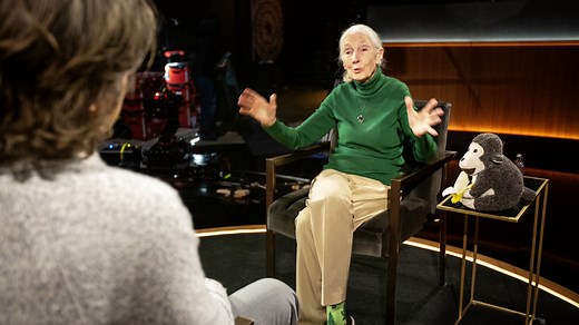 A Message From Dr. Jane Goodall | Famous Last Words | Netflix