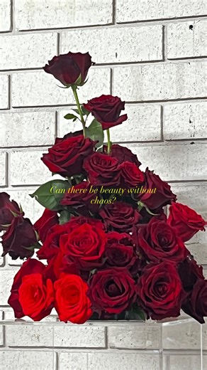 Eden Ranelli | Perth Wedding Stylist & Florist on Instagram: "Not your average rose arrangement.❤️‍🔥 No flipping. No fluffing. Just bold, bare stems and roses standing tall in a raw sculpture like the fierce little babes they are. 🌹 I wanted to strip it back and show the structure - raw, edgy, powerful. Because beauty doesn’t have to be soft. Sometimes it’s sharp. Sometimes it stares back. Sometimes there can be no beauty without chaos. 🥹 Is it a yay or a nay from you? Let me know below 👇 Ed