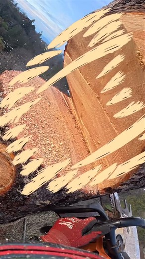 August Hunicke on Instagram: "8 Topped Nightmare Tree"