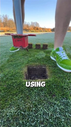 Boy Fixes Dead Grass with a Simple Trick 🌱 #LawnCare #SmartFix #GrassRepair