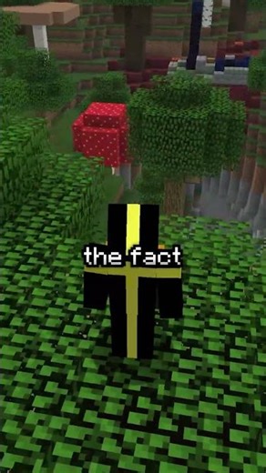 Why do minecraft players hate chat reporting so much? #minecraft #minecraftshorts