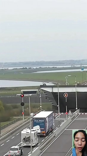 213K views · 804 reactions | Drawbridge Meron daw nito sa Netherlands #reactionreels #reactionvideo #drawbridge #movable | Riezel Lopez | Facebook