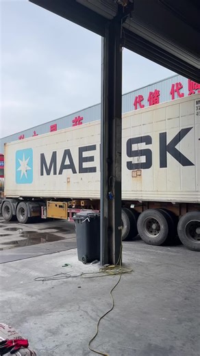 Import and Export of Garlic: A Global Market Overview