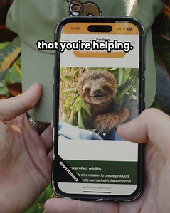 334 reactions · 33 comments | Buy One Legend Hat Get One Free On Now While Supplies Last! Each Sloth Legend Hat gives back to saving more injured sloths in the wild. 殮 Tap the lid of your hat against the phone to read about the sloth you're helping. Shop Now: https://followyourlegend.com/collections/legend-hats/products/sloth-legend-hat | Follow Your Legend | Facebook