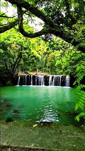 釘ノ花の滝は山鹿市鹿北町の田園地帯にある隠れた名所で「鹿北のナイアガラ」と呼ばれ高さは約3メートルと低いものの、横幅が15メートルほどあり、川の幅いっぱいに水が流れ落ちる様子は見応えがあります