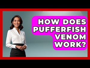 How Does Pufferfish Venom Work? - The Marine Life Explorer