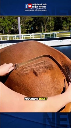 Inside the Hidden Process of Makeup Brush Manufacturing 😳 #viral #trending