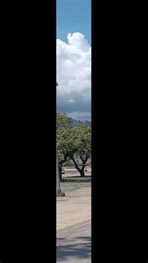 Incentive Program and Genuine Interactions