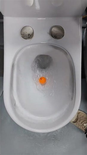 Why Does This Flush Look So Perfect? 💧🌀