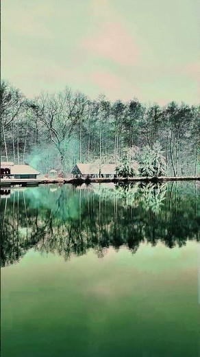 Relaxing Nature Sounds 🌿 | Calm Your Mind in Seconds