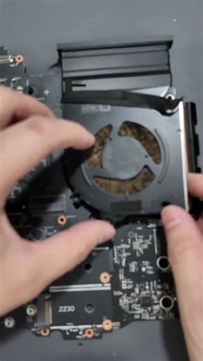 Clean dust off the fan by yourself