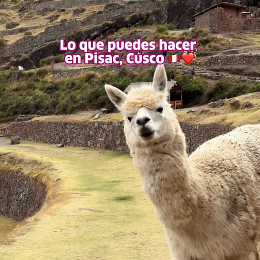 7.1K views · 84 reactions | Lo que puedes hacer en Pisac, Cusco  朗...