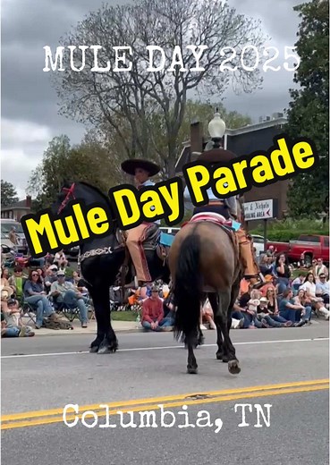 Mule Day Parade 2025 in Columbia, Tennessee
