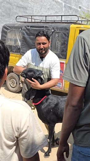 Mausi or chachi 😂 #shorts #funny #comedy #vlog #explore