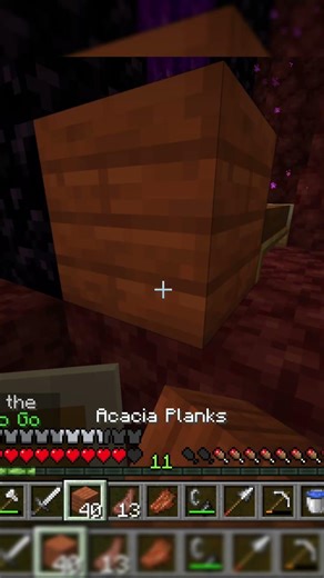 Crazy Manhunt Nether Trap