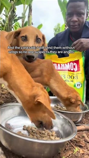 Today we managed to get food or our babies because a stranger stayed to help