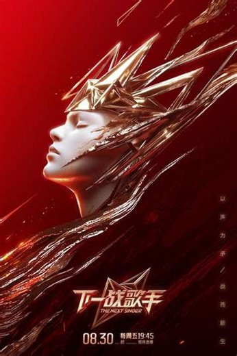 The Next Singer (2024) - TV Show