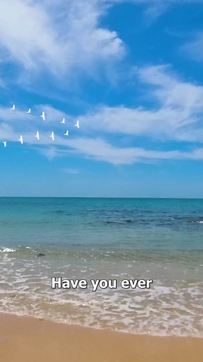 5.1M views · 213K reactions | Why Birds Fly In ‘V’ Formations 樂 | Zack D. Films | Facebook