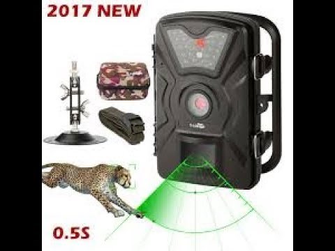 Xlounger Trail cam --- You will want more than 1