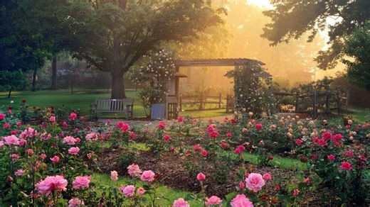 Spring in bloom: Today is first day of spring; when is Easter? Here's what to know