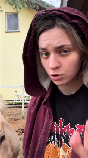 #edukacja #viral #dc