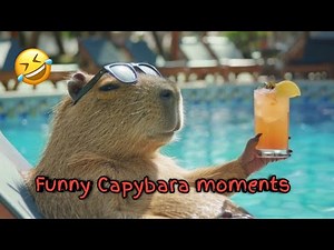 Top 5 Capybara Funny Moments | TOP 5ive