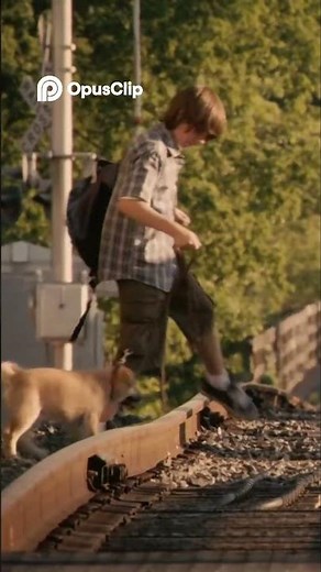 Hachi: A Dog's Tale 2009 ‧ Drama/Drama ‧ 1h 33m
