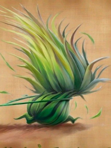 First this i thought of was Sprinting Thistles 🧚‍♀️ #2026superbowl #tinkerbell #halftimeshow #tinkerbellmovies #fypシ