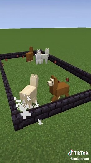 50 Lamas VS 1 Loup🤔 #minecraft #experience #pourtoi #fyp