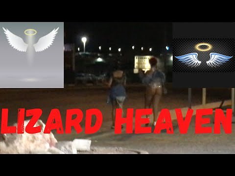 LOT LIZARD HEAVEN