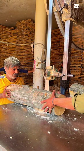 Tree to Sixer Gun Process | Professionals Making Professional Bats 🏏🔥 #big_sixer_official #faisalsports🏏