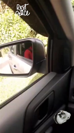 ROACHMEME (@roachmeme868)’s videos with original sound - ROACHMEME