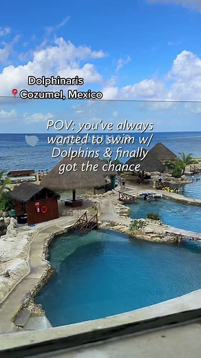 Swimming with Dolphins in Cozumel Mexico - A Magical Experience!