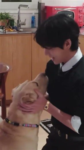 animals love taehyung 😭, taehyung with dogs #btsedits #btsv #kpop #kimtaehyung