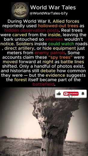 The Spy Tree of World War II #shorts