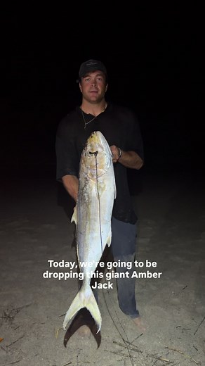 GIANT HAMMERHEAD CAUGHT FROM BEACH #viral #trending #fyp #tiktok #fishing
